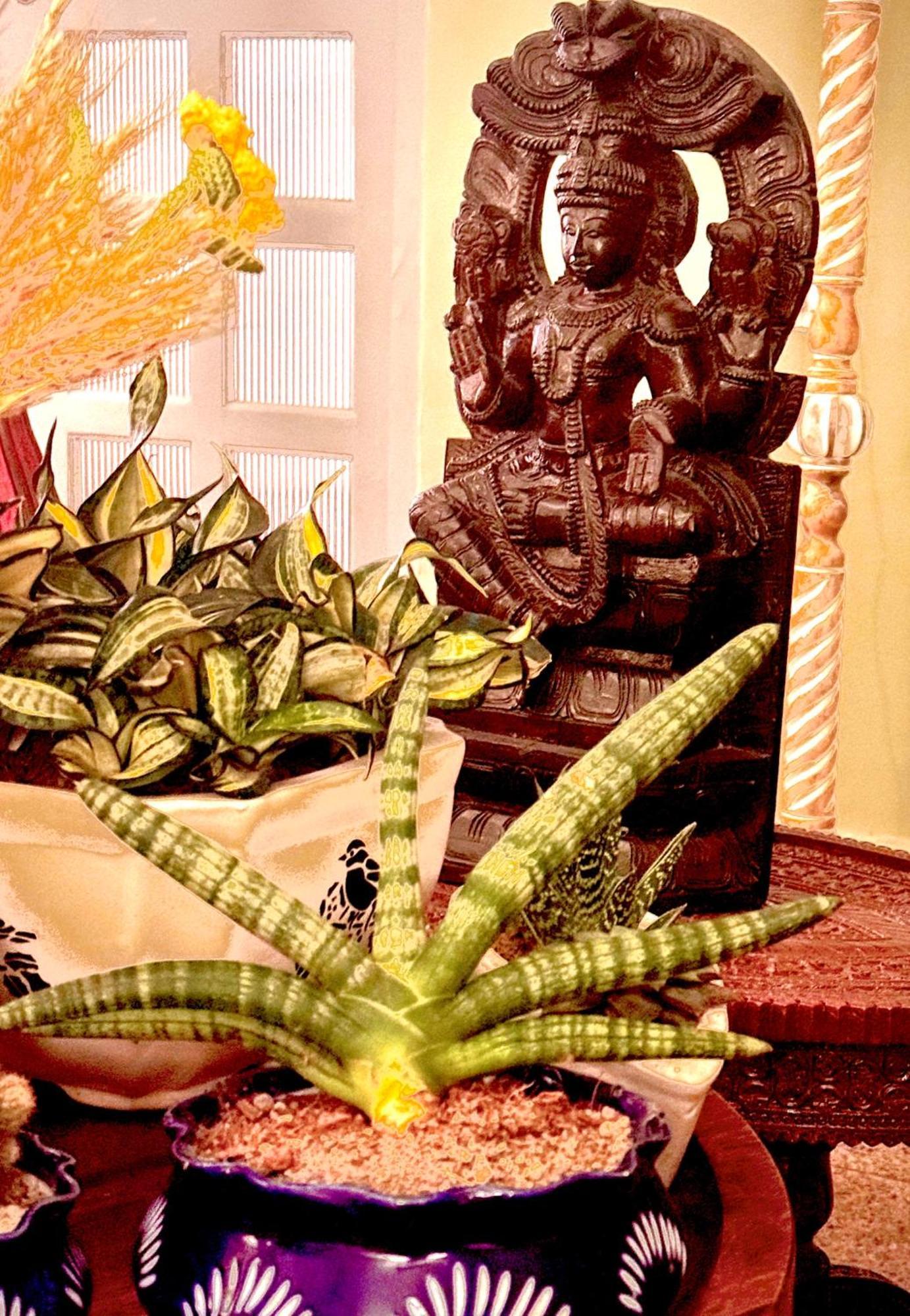 Vraj Vilas Vrindāvan Exterior foto